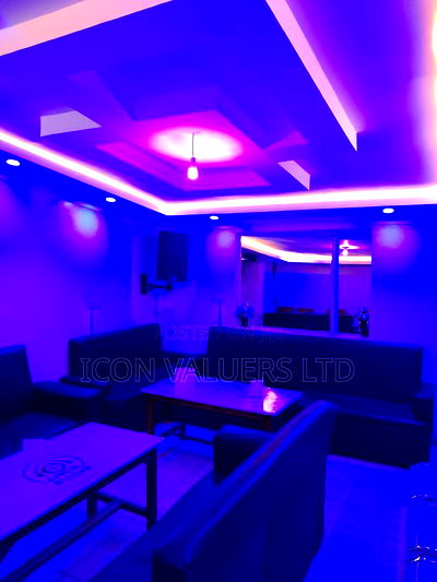 Entertainment Club/ Lounge for Sale - Image 3