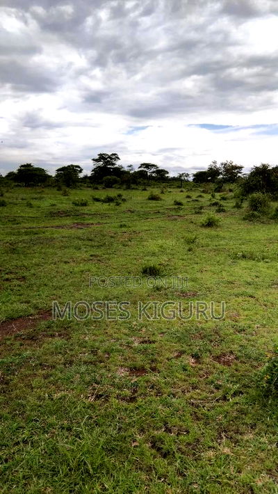Juja 1/4 Commercial Plots. - Image 7