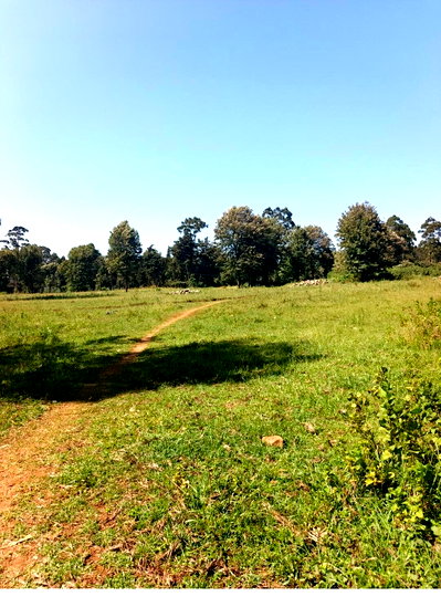 5-Acre Garden Land at KSh 27M