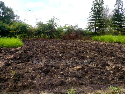 Residential Eighth Acre Plot in Ngong in Olkeri Near Tarmac - Image 3