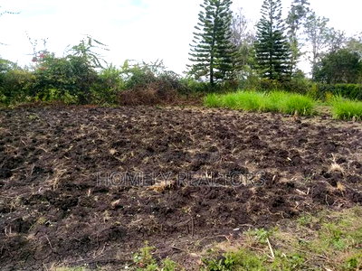 Residential Eighth Acre Plot in Ngong in Olkeri Near Tarmac - Image 1
