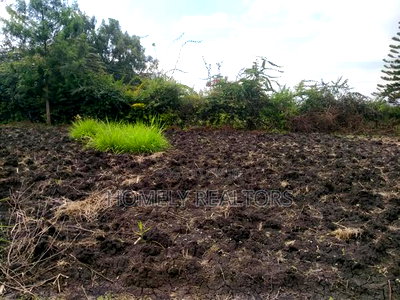 Residential Eighth Acre Plot in Ngong in Olkeri Near Tarmac - Image 2