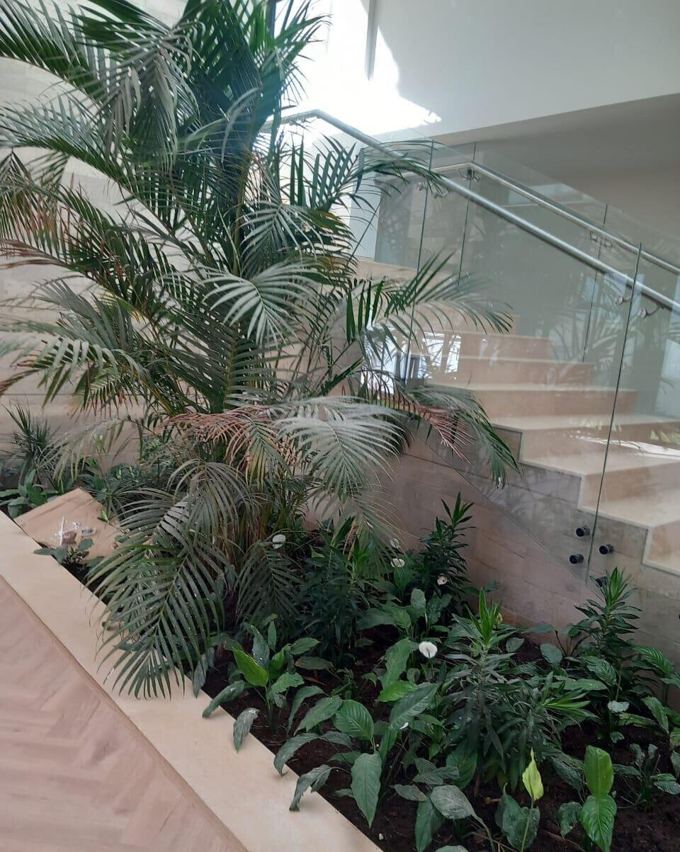 5-Ensuite Villa with Private Garden & Backup Systems - Westlands
