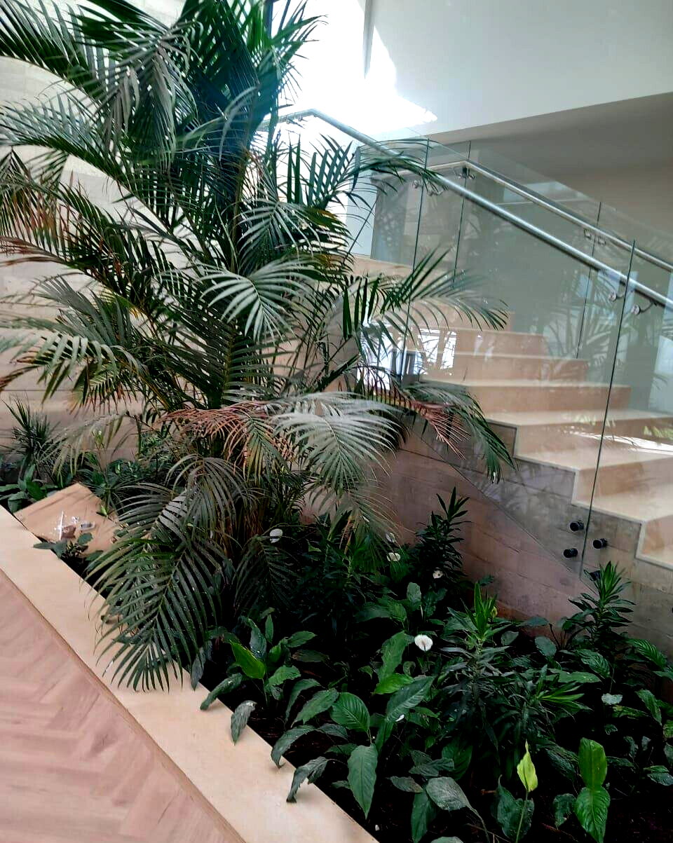 5-Ensuite Villa with Private Garden & Backup Systems - Westlands