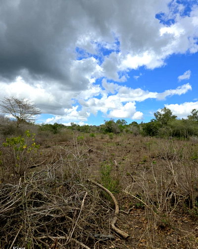 300003 Acres in Kaloleni