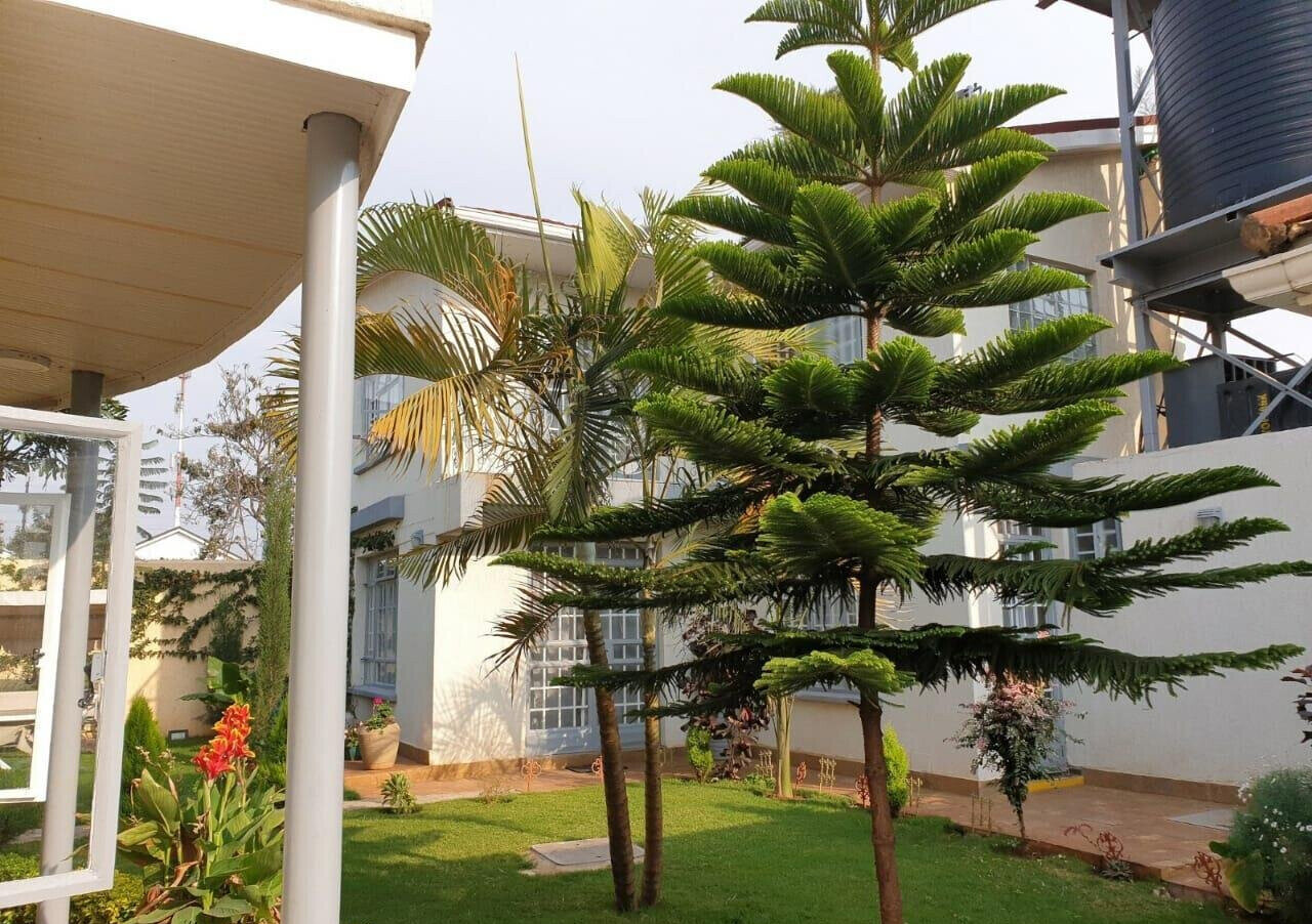 Quarter-Acre Compound with 3 Units & Mature Garden – Langata