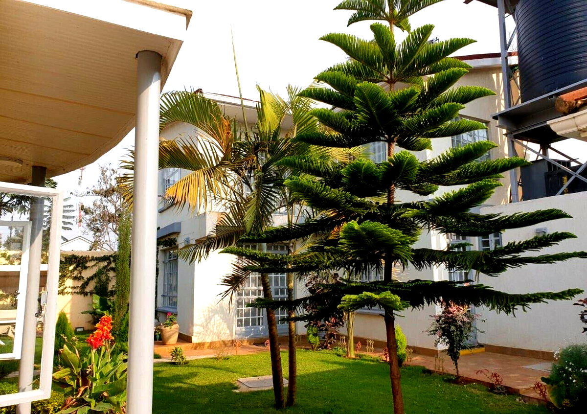 Quarter-Acre Compound with 3 Units & Mature Garden – Langata