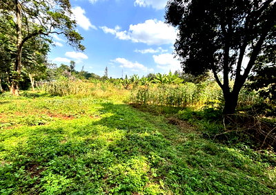 2.5 Acres in Ridgeways for KSh 185M
