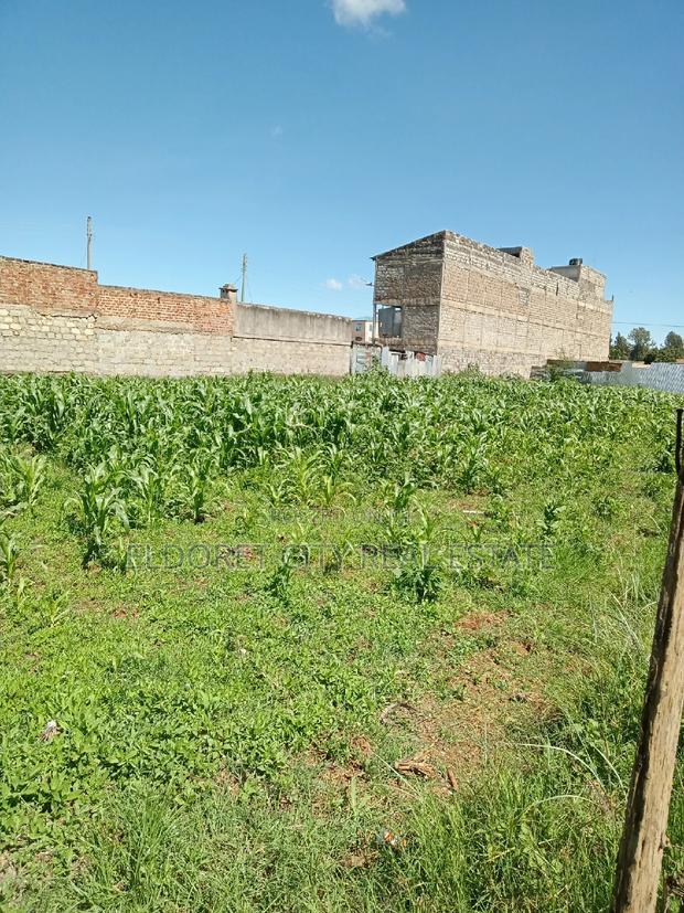 1/8 Plot Kimumu With Title.