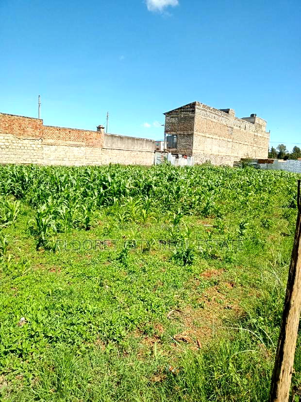 1/8 Plot Kimumu With Title.