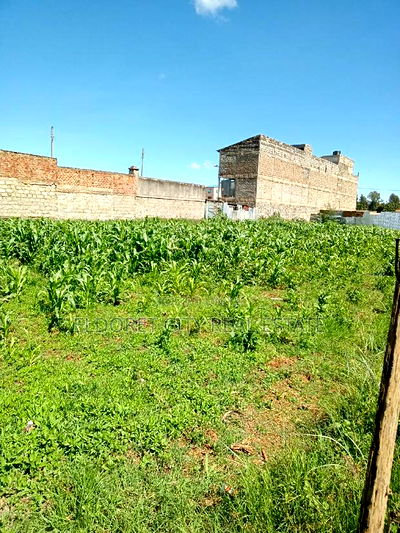 1/8 Plot Kimumu With Title. - Image 2