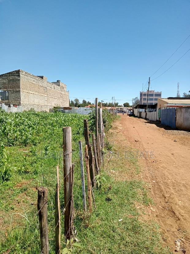 1/8 Plot Kimumu With Title.