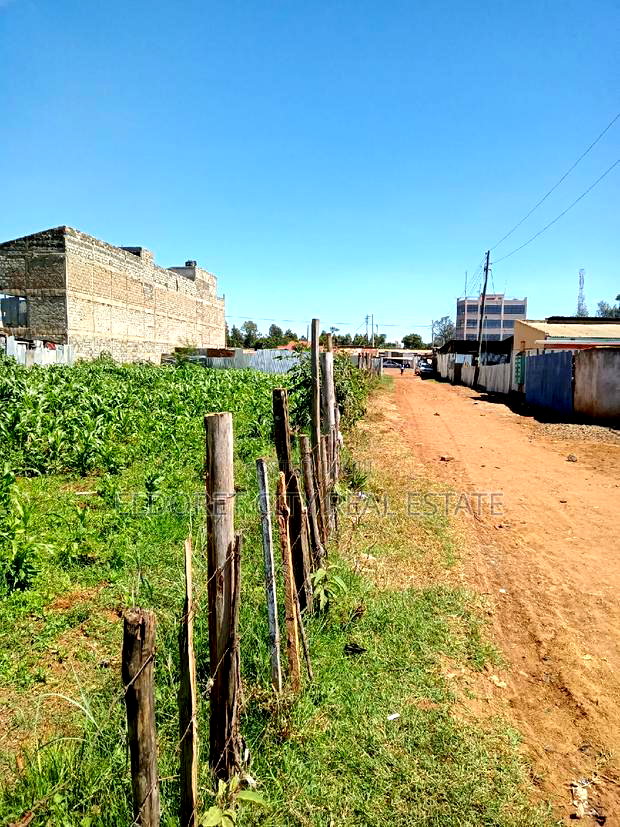 1/8 Plot Kimumu With Title.