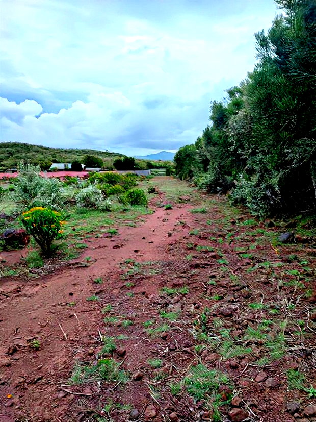 1 Acre for Sale at Ol Maroroi Ngong