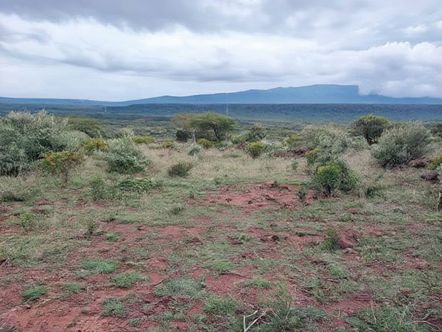 1 Acre for Sale at Ol Maroroi Ngong