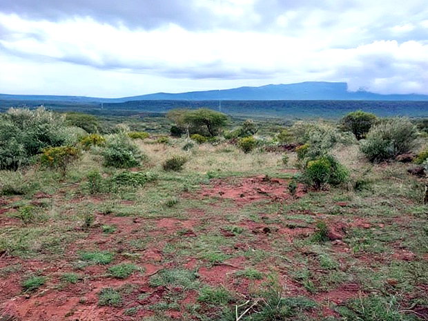 1 Acre for Sale at Ol Maroroi Ngong