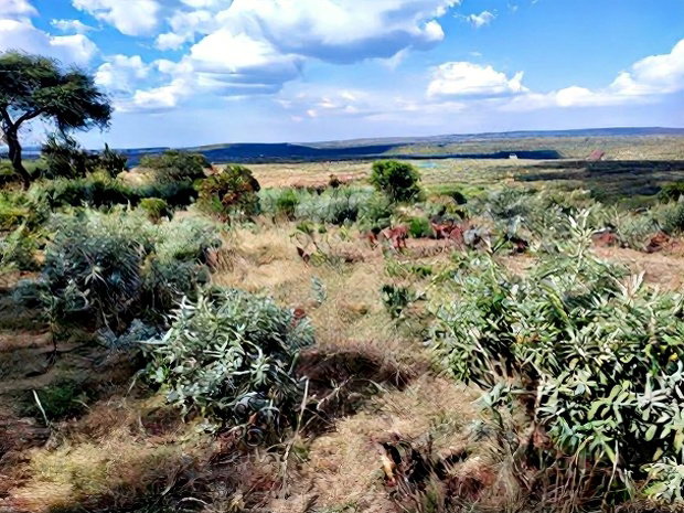 1 Acre for Sale at Ol Maroroi Ngong