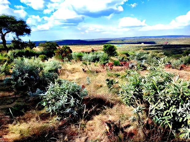 1 Acre for Sale at Ol Maroroi Ngong