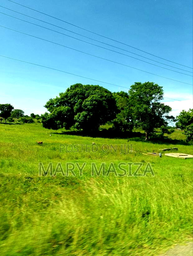 Malindi Almasi Phase 2