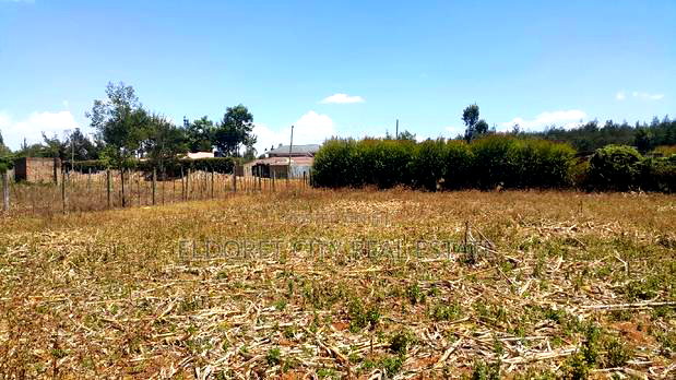 Good Residential Plot in Blossom With Title