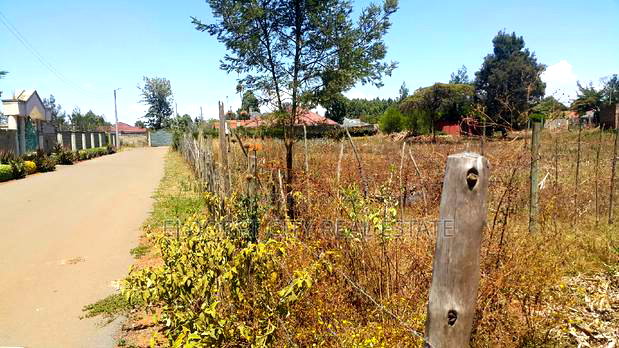 Good Residential Plot in Blossom With Title
