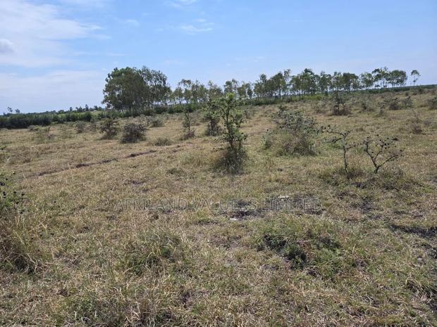 Plots for Sale in Tuala Next to Rockfields
