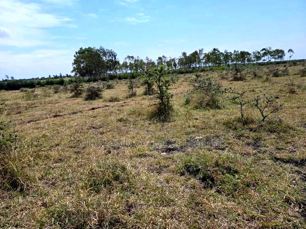 Plots for Sale in Tuala Next to Rockfields