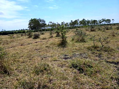 Plots for Sale in Tuala Next to Rockfields - Image 2