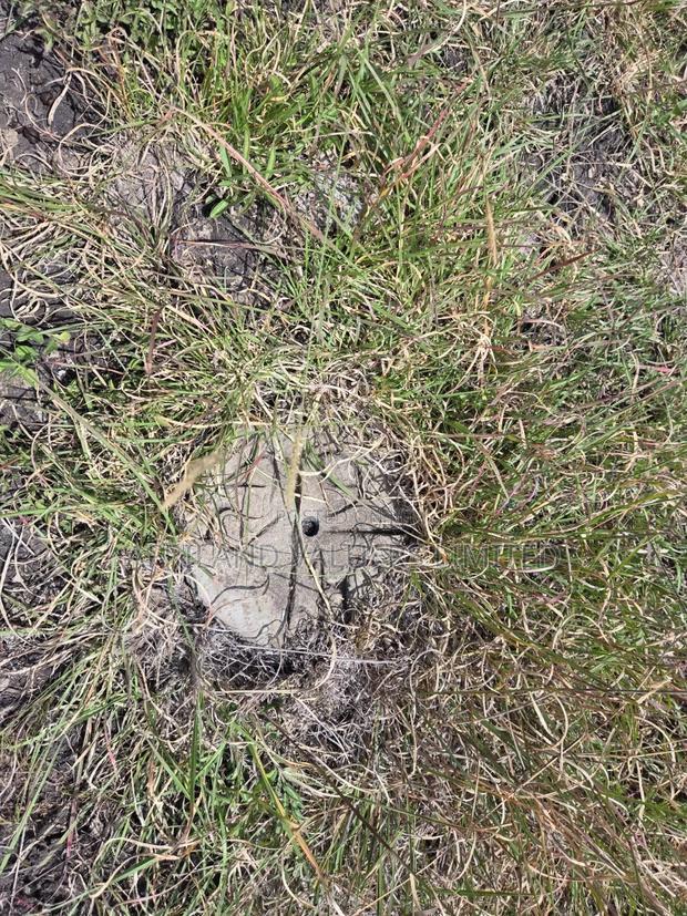 Plots for Sale in Tuala Next to Rockfields