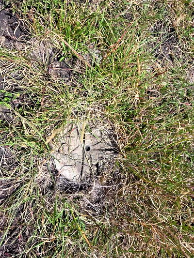 Plots for Sale in Tuala Next to Rockfields - Image 6