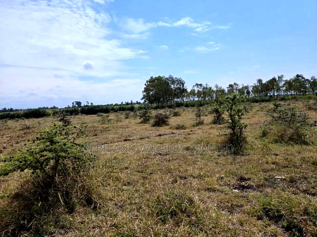 Plots for Sale in Tuala Next to Rockfields