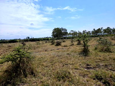 Plots for Sale in Tuala Next to Rockfields - Image 4