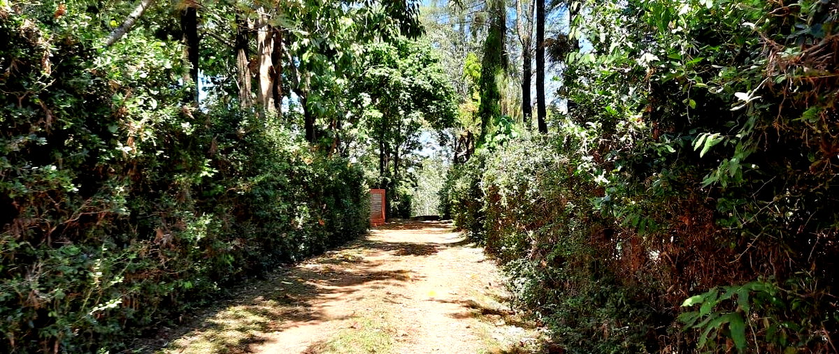 0.4 Acre Plot in Riat, Kisumu West