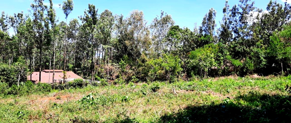 0.4 Acre Plot in Riat, Kisumu West