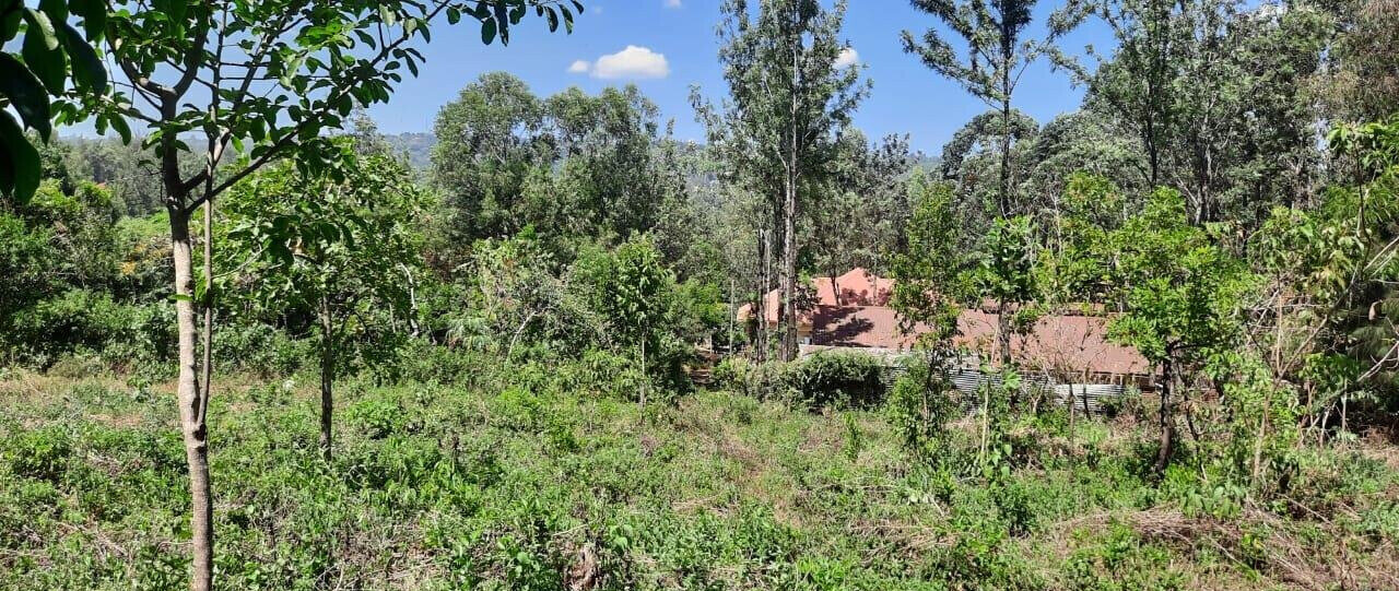 0.4 Acre Plot in Riat, Kisumu West