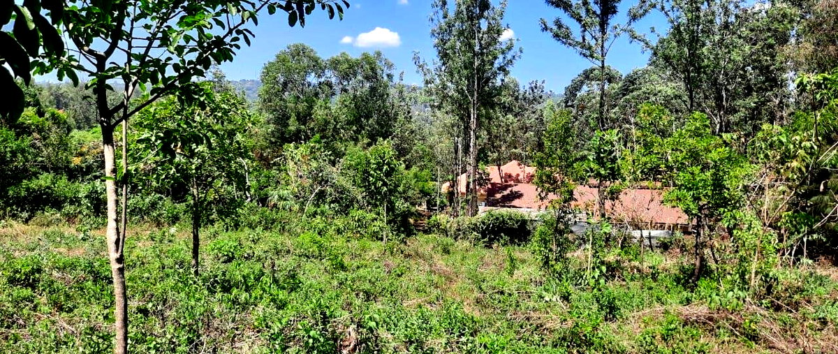0.4 Acre Plot in Riat, Kisumu West