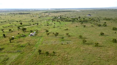 2 Acres Per Acre - Image 5