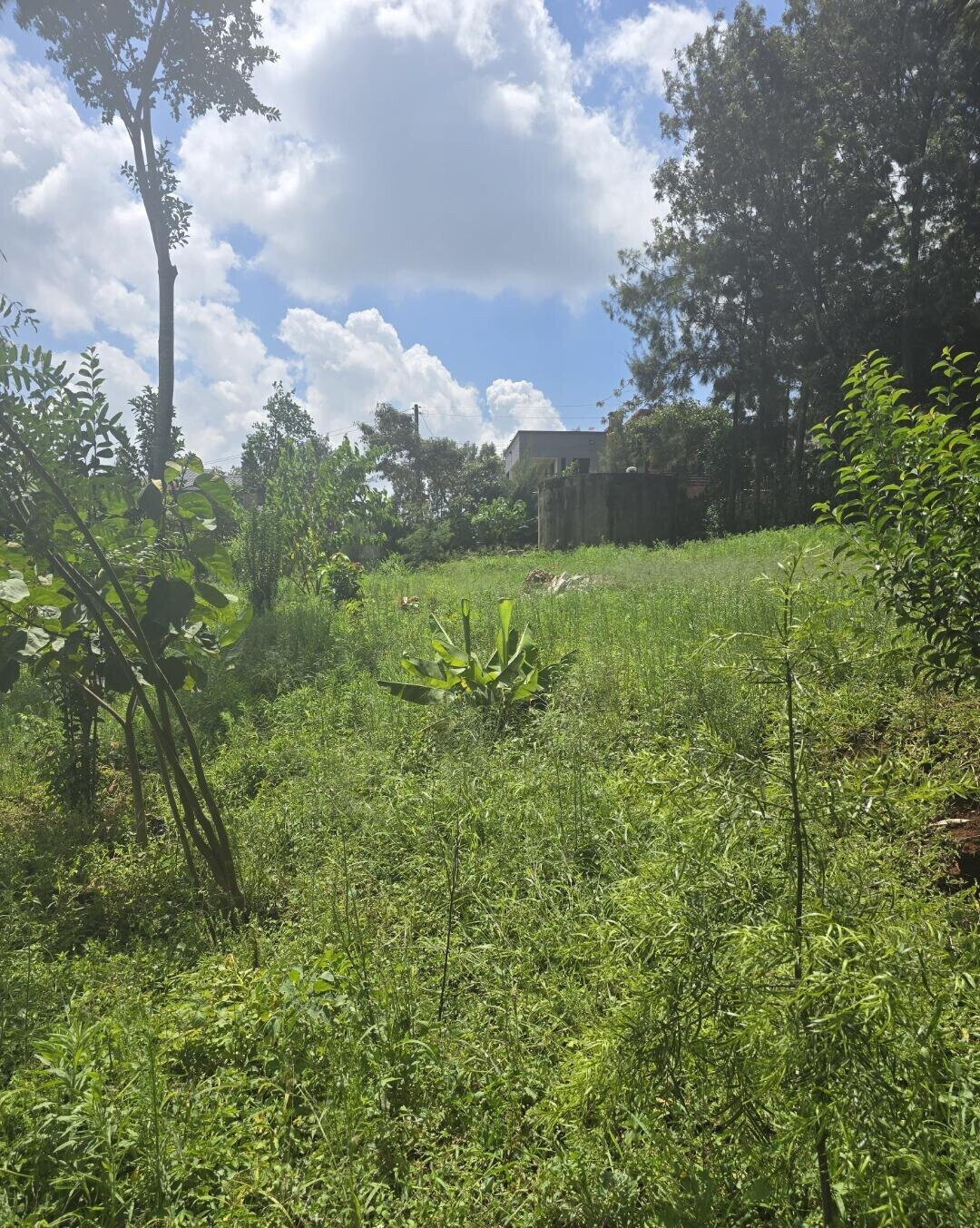 Half Acre Garden Plot at KSh 30M
