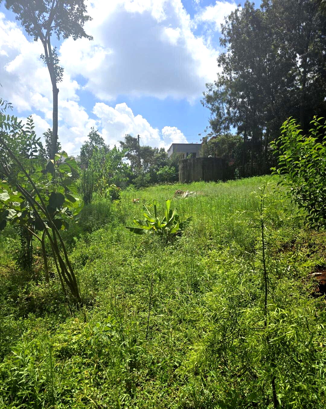 Half Acre Garden Plot at KSh 30M