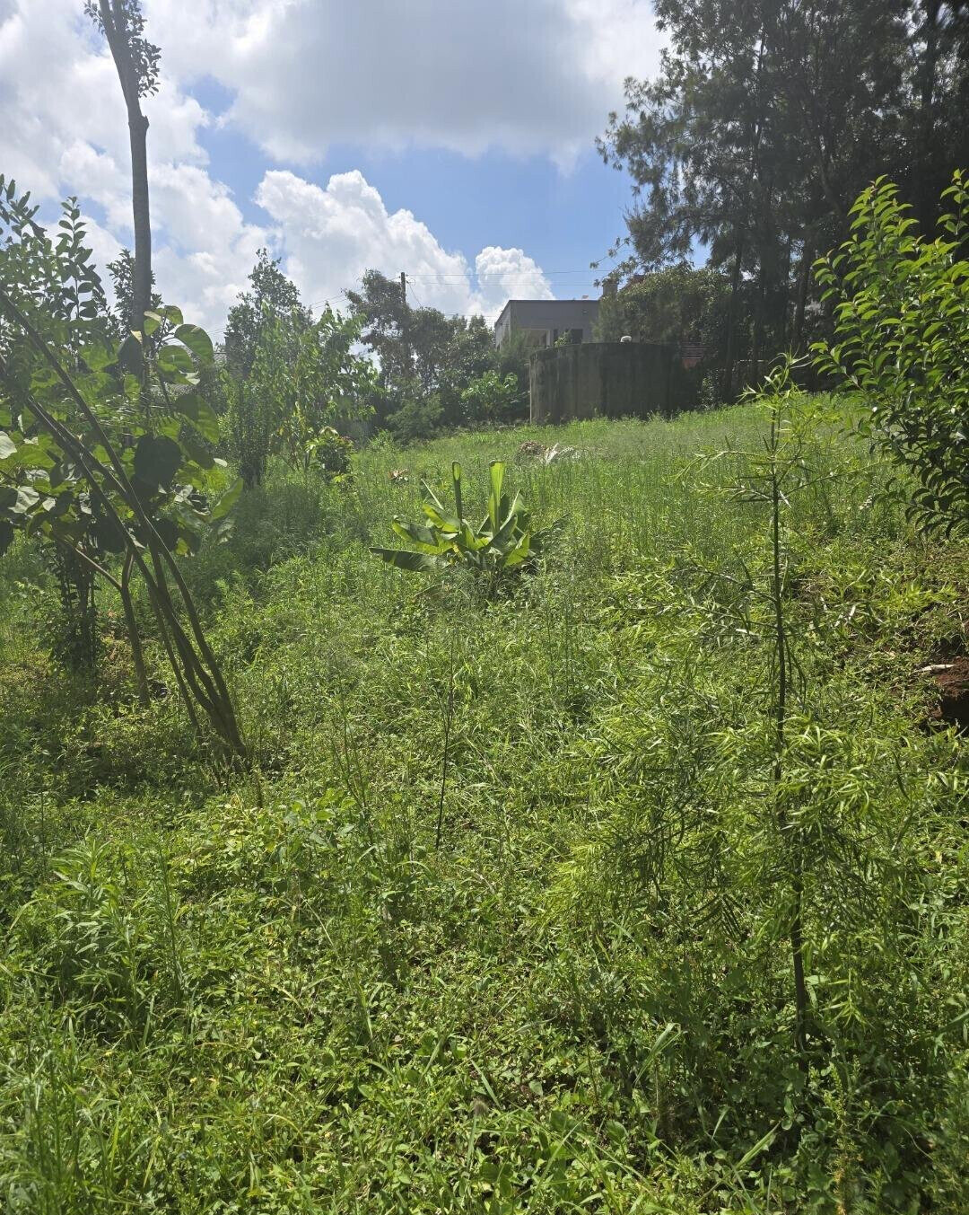 Half Acre Garden Plot at KSh 30M