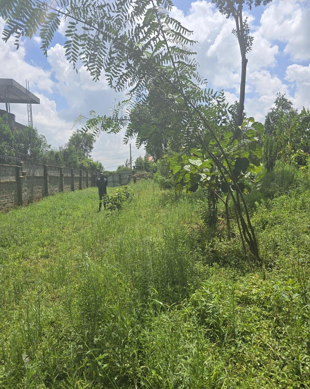 Half Acre Garden Plot at KSh 30M