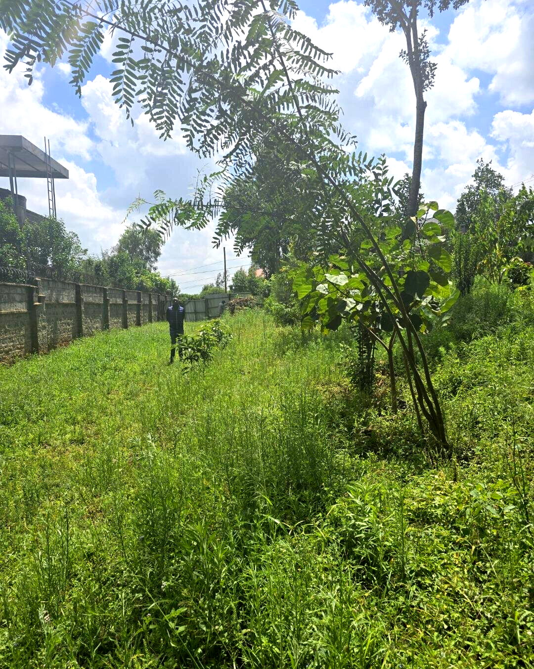 Half Acre Garden Plot at KSh 30M