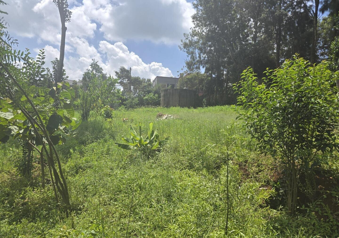 Half Acre Garden Plot at KSh 30M
