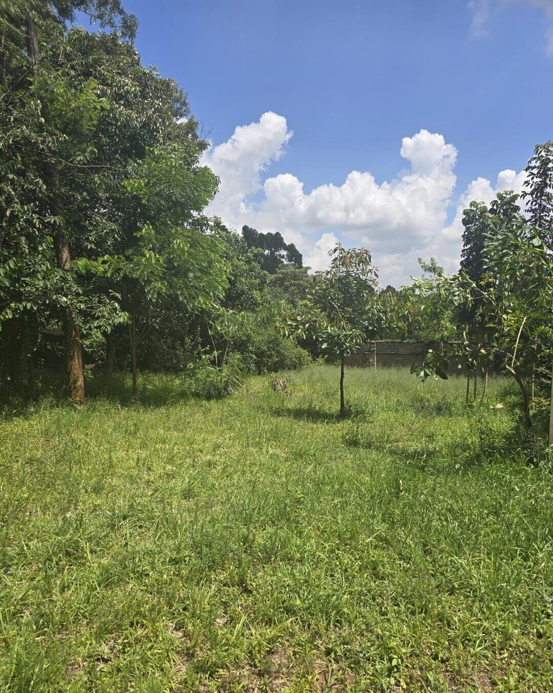 Half Acre Garden Plot at KSh 30M