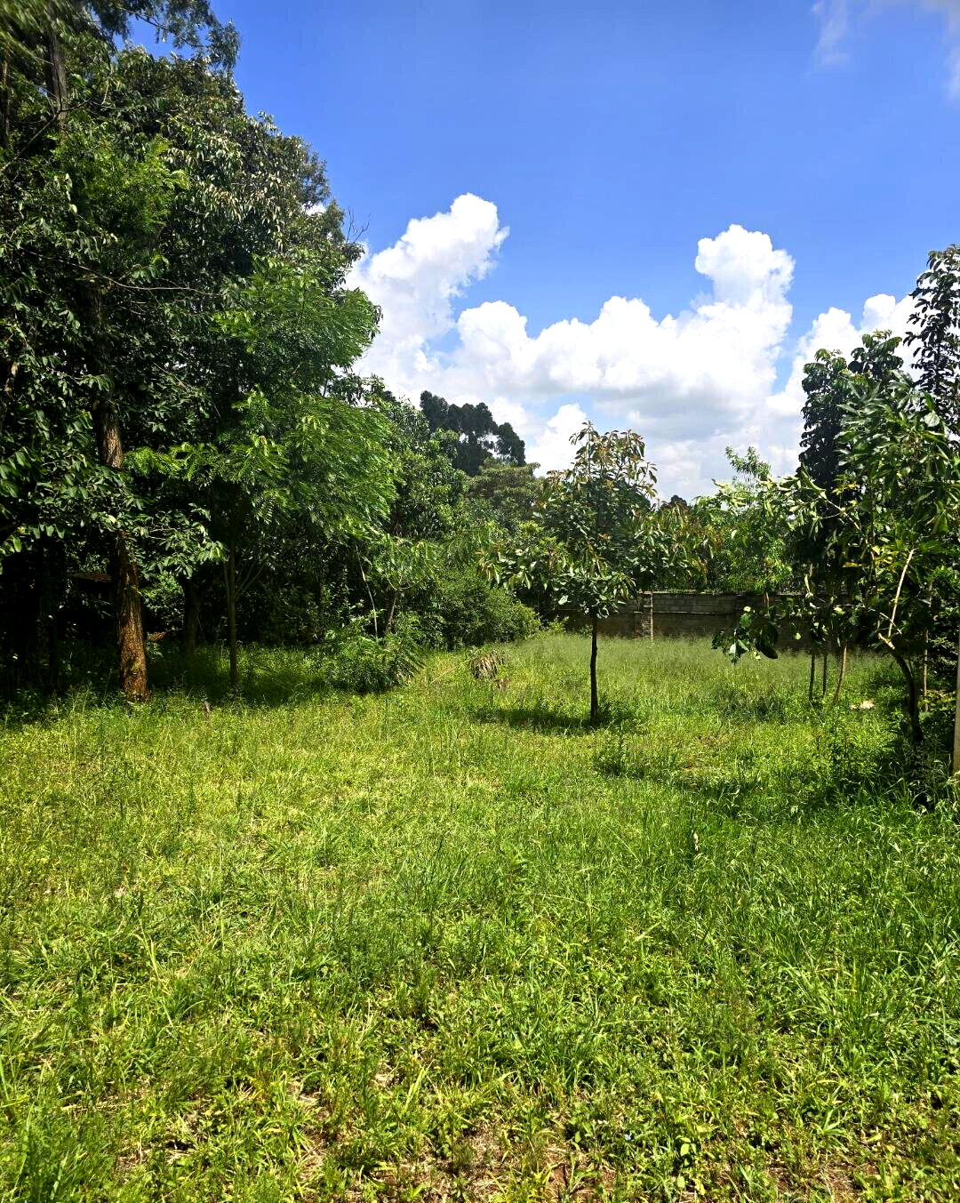 Half Acre Garden Plot at KSh 30M