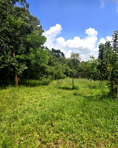 Half Acre Garden Plot at KSh 30M