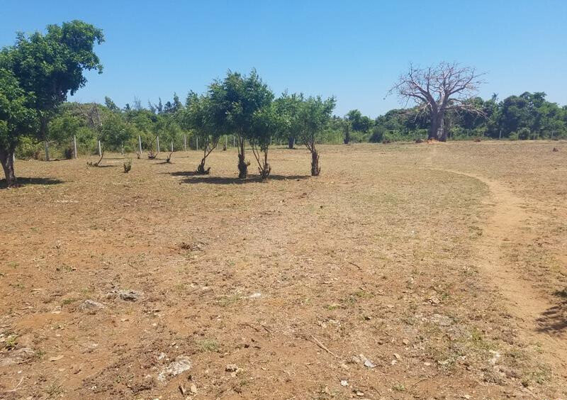 1/8 Acre Plot in Malindi at KSh 750K