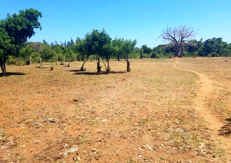 1/8 Acre Plot in Malindi at KSh 750K