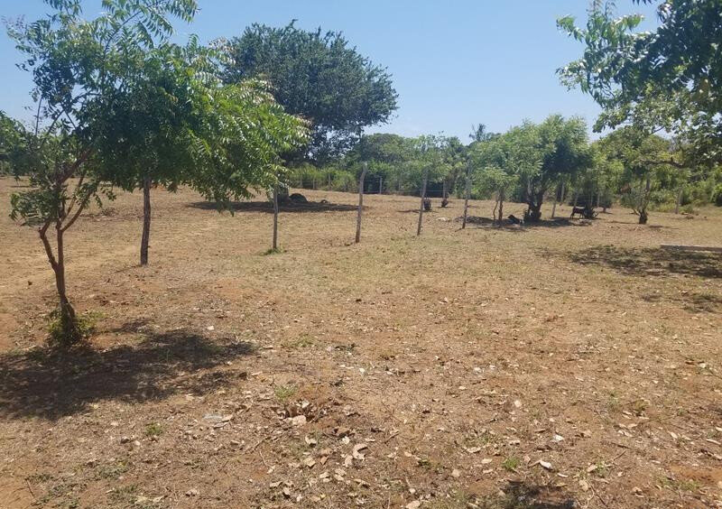 1/8 Acre Plot in Malindi at KSh 750K