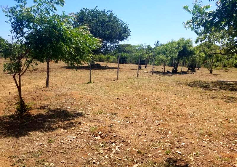 1/8 Acre Plot in Malindi at KSh 750K